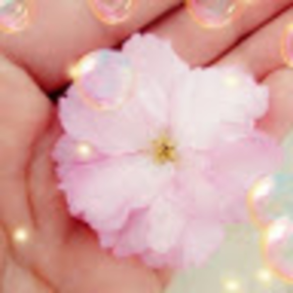 Meet your Posher, Heydi